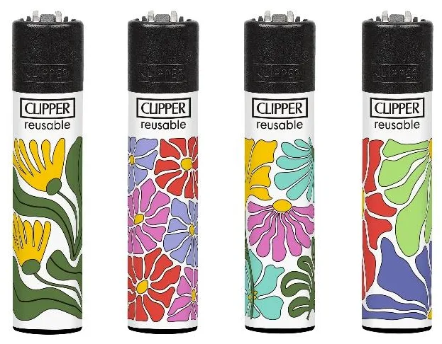 CLIPPER CP11 «Summer’s Here D», дисплей D48